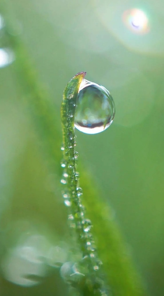 高周波水管清洗