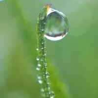 高周波水管清洗