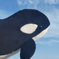 🎙ボイメで歌おう〜🐙🏫