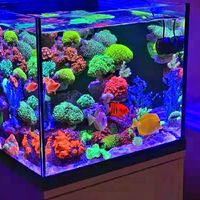 魚樂城水族海水、珊瑚、軟體、硬骨社團