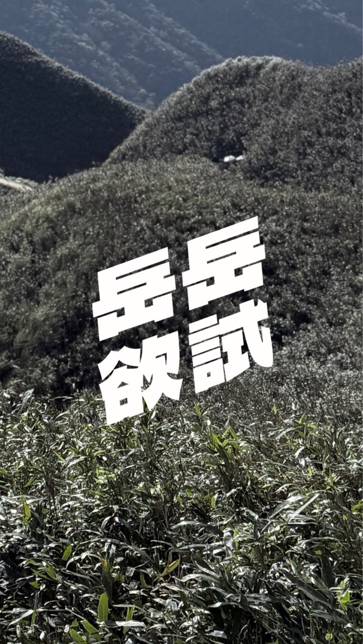 岳岳欲試