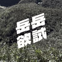 岳岳欲試