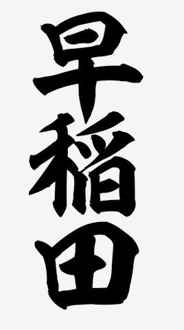 2024早稲田商学部生