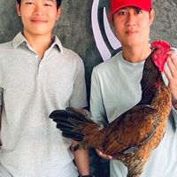 ซุ้ม.อนัมพล ฟาร์ม