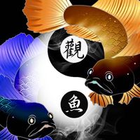 觀魚水族/雷龍魚、龍魚、各式觀賞魚專賣