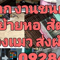 ขนส่งทั่วไทย..24ชม.bymadammam
