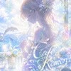 ゆらら 〜Café Komorebi🍃〜サッカー映画、音楽好きこと語るCafé
