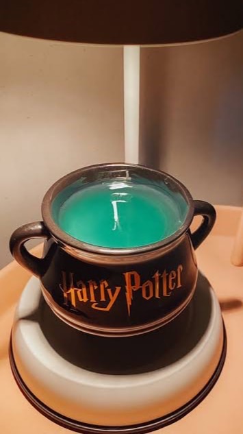 โรงเรียนเวทมนตร์ Harry Potter