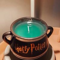 โรงเรียนเวทมนตร์ Harry Potter
