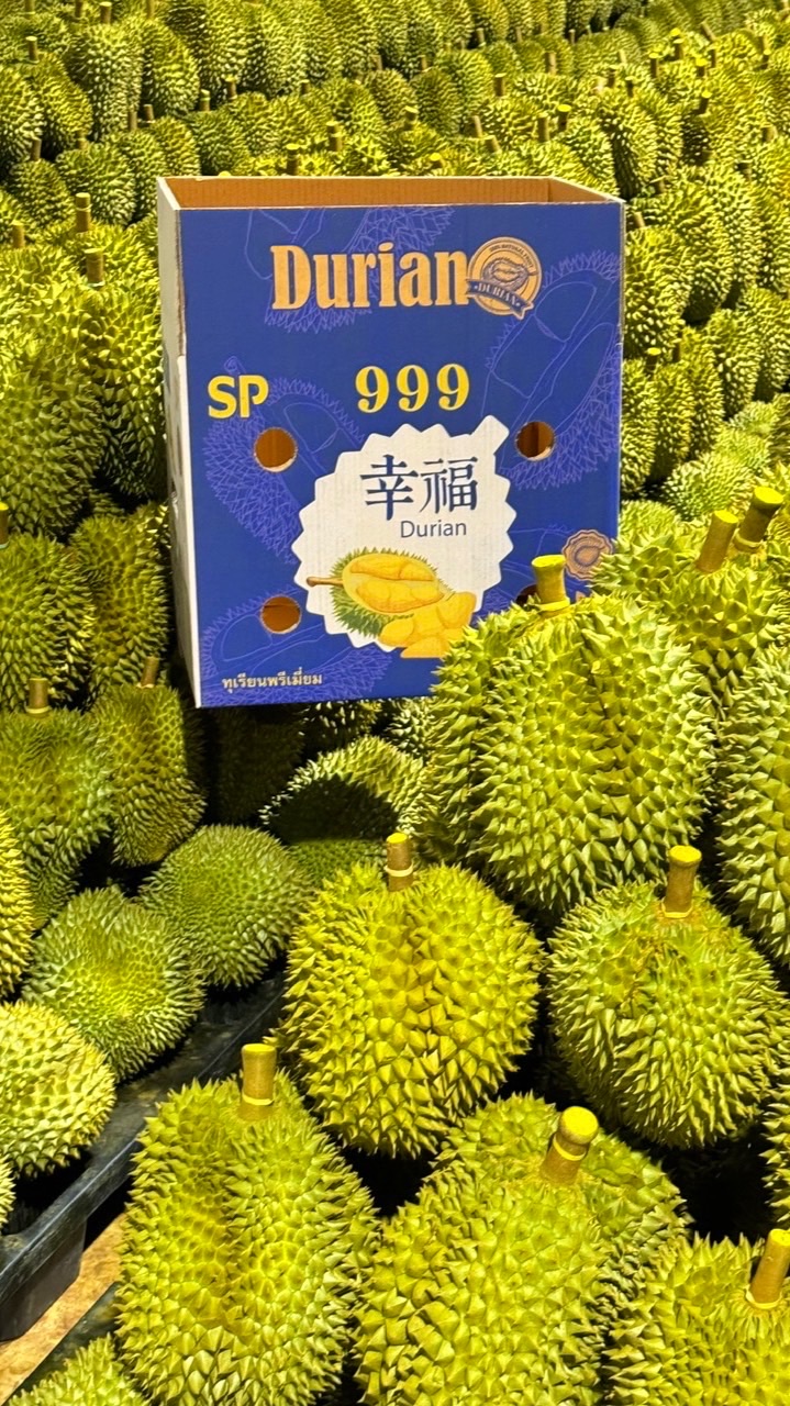 เฮียเล็ก SP-999