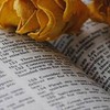 read＆know bible in English