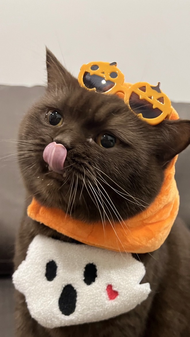 สุ่มมาส์กกับโนเอล🐈⭐️