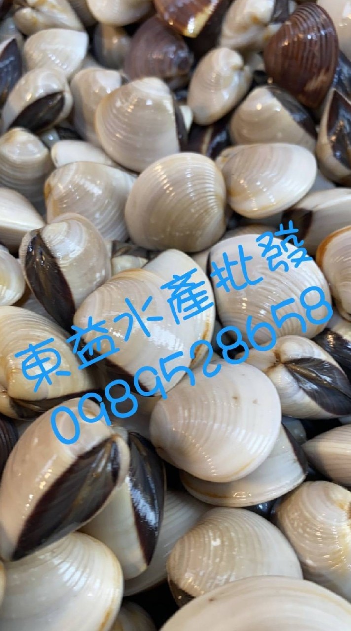 🌊東益水產社