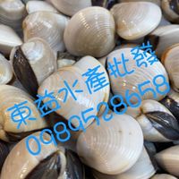 🌊東益水產社