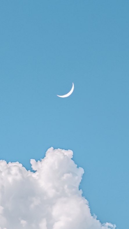 残月本丸 ✤ 長船派限定 ✤ 刀剣乱舞緩也