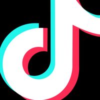 TikTok 糾察隊⛔️