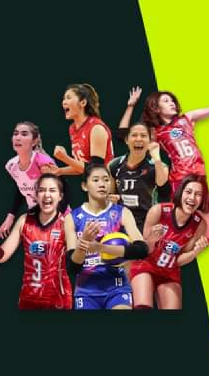 วอลเลย์บอล ทีวี