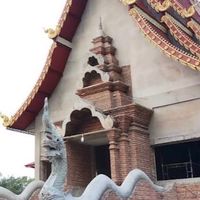 ป่าเสร้าหลวงหมู่6