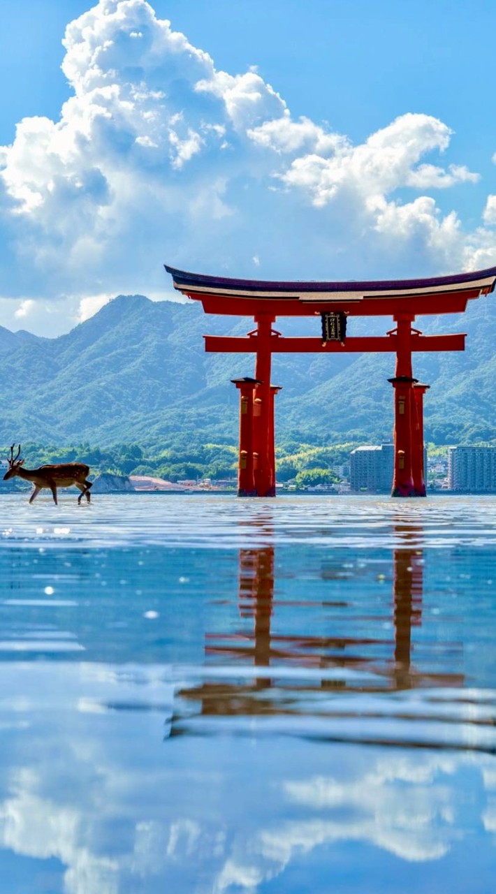 あつまれー地理系の会！