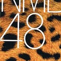 NMB48ファングループLINE
