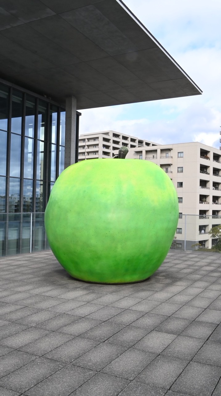 菜心商號