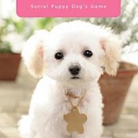かわいい子犬卒業生🐾