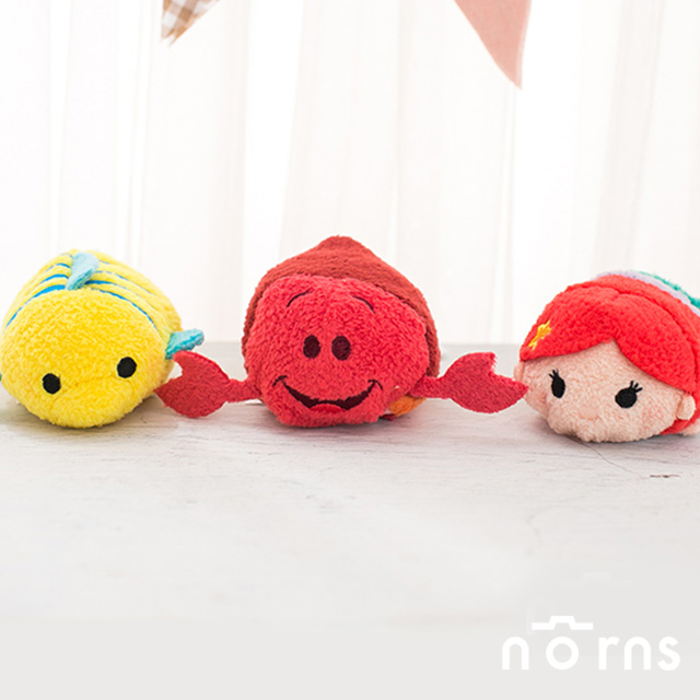 norns門市同步販售