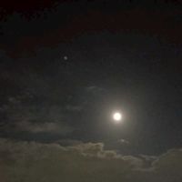 カービィの青春