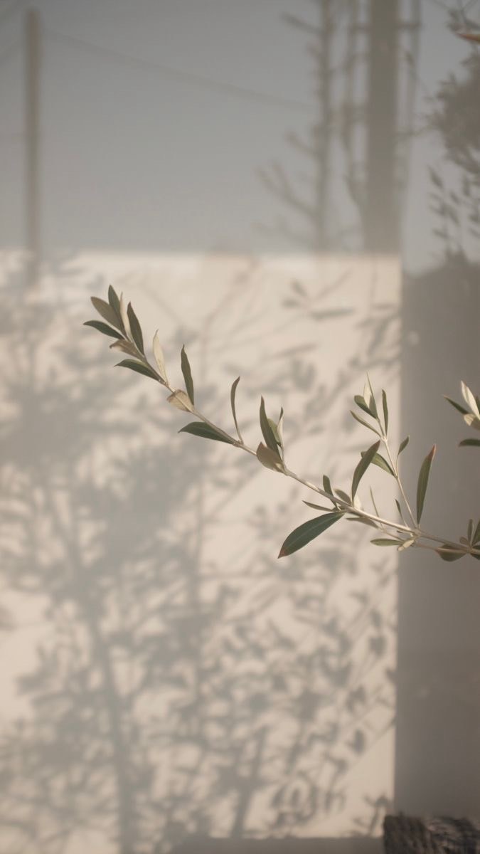 色とりどりの輝く世界で