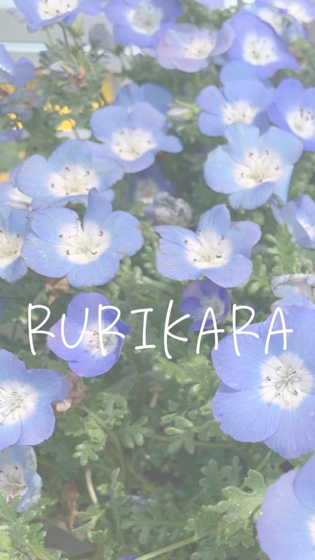 実践女子大学ボランティアサークル 🌷Rurikara Habitat🌷 OpenChat