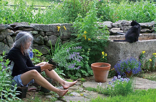 ターシャ テューダーの生き方に憧れた ある写真家の庭づくり バーモントの片隅に暮らす 11