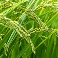 農業の未来を考える会🚜🌱🌱