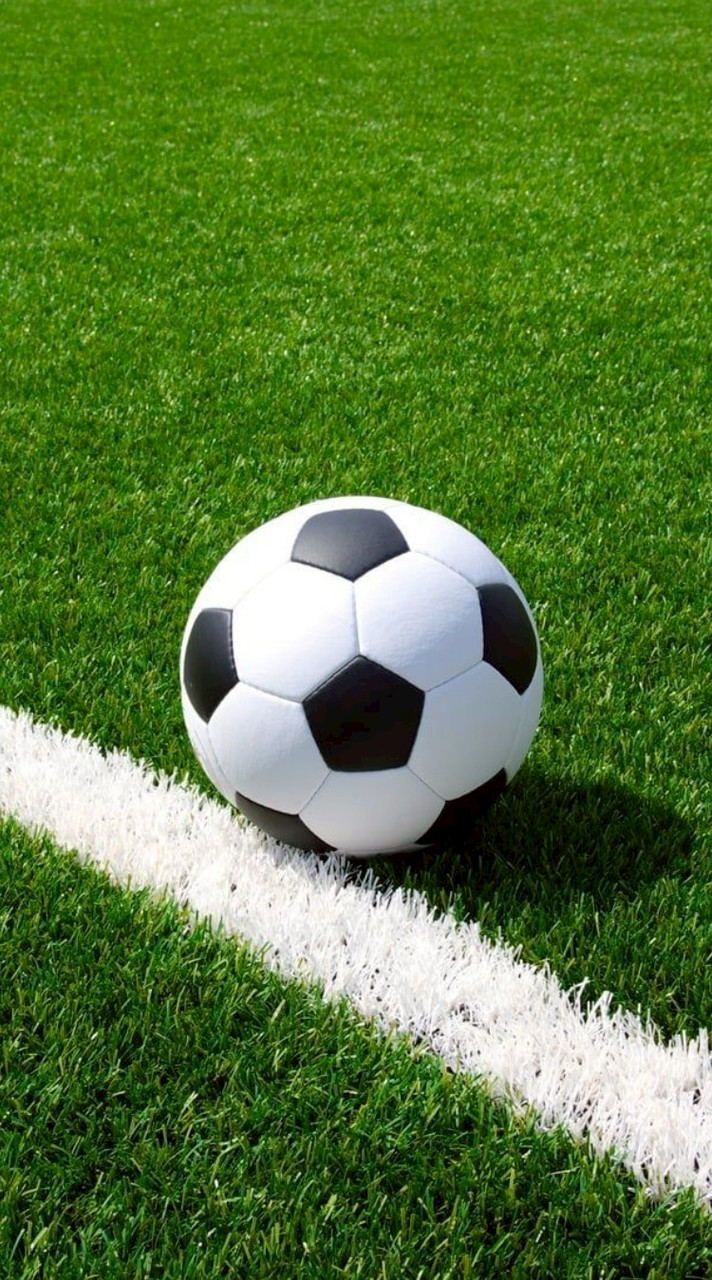 サッカー好きな人集合！！(全員副官制)