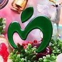 ミセスファンの集合場所