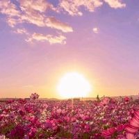 30+40+50++เพื่อนคุยยามเหงา..มิตรภาพ..วัยทำงาน🌹