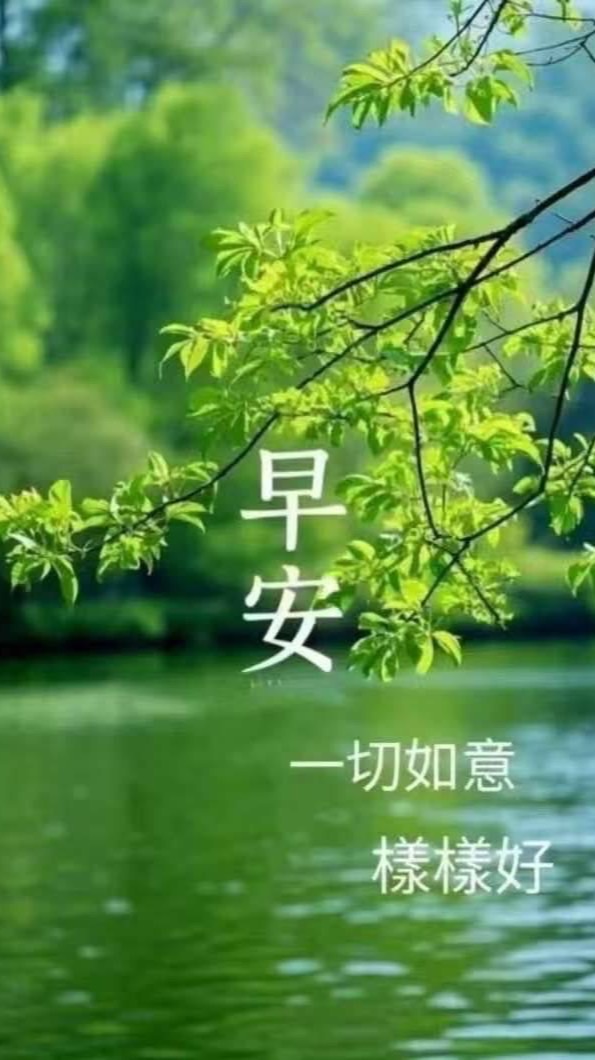 天麗保健品/分類見證