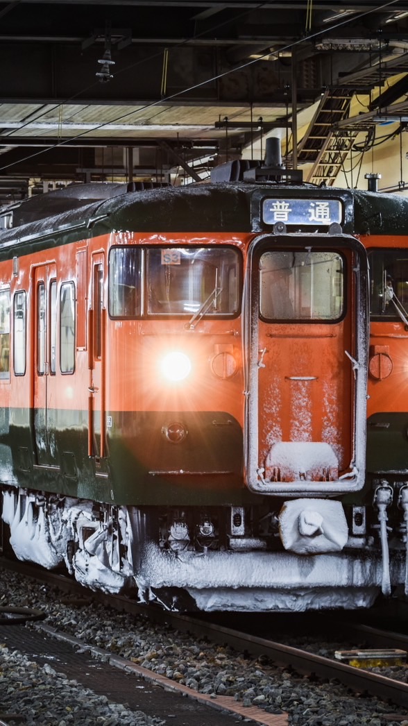 スジ張り、運用