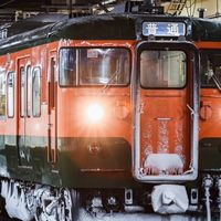 スジ張り、運用