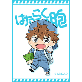 TVアニメ「はたらく細胞」B細胞