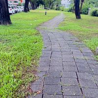 好野人的康樂群