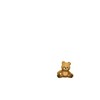 คุยกันปกติ✨💤