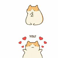 ⭕幸福❤生活⭕