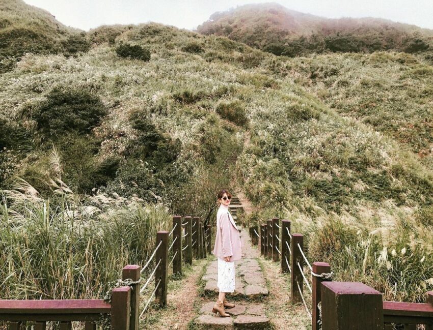 芒草季節、芒草