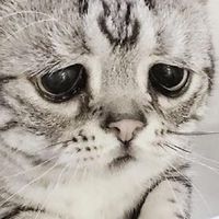 小小蟻國333tai