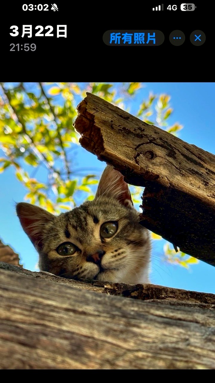 路亞釣那個魚-吐血福利社(非開放群)