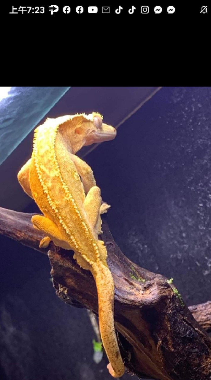 爬蟲酷專屬社群