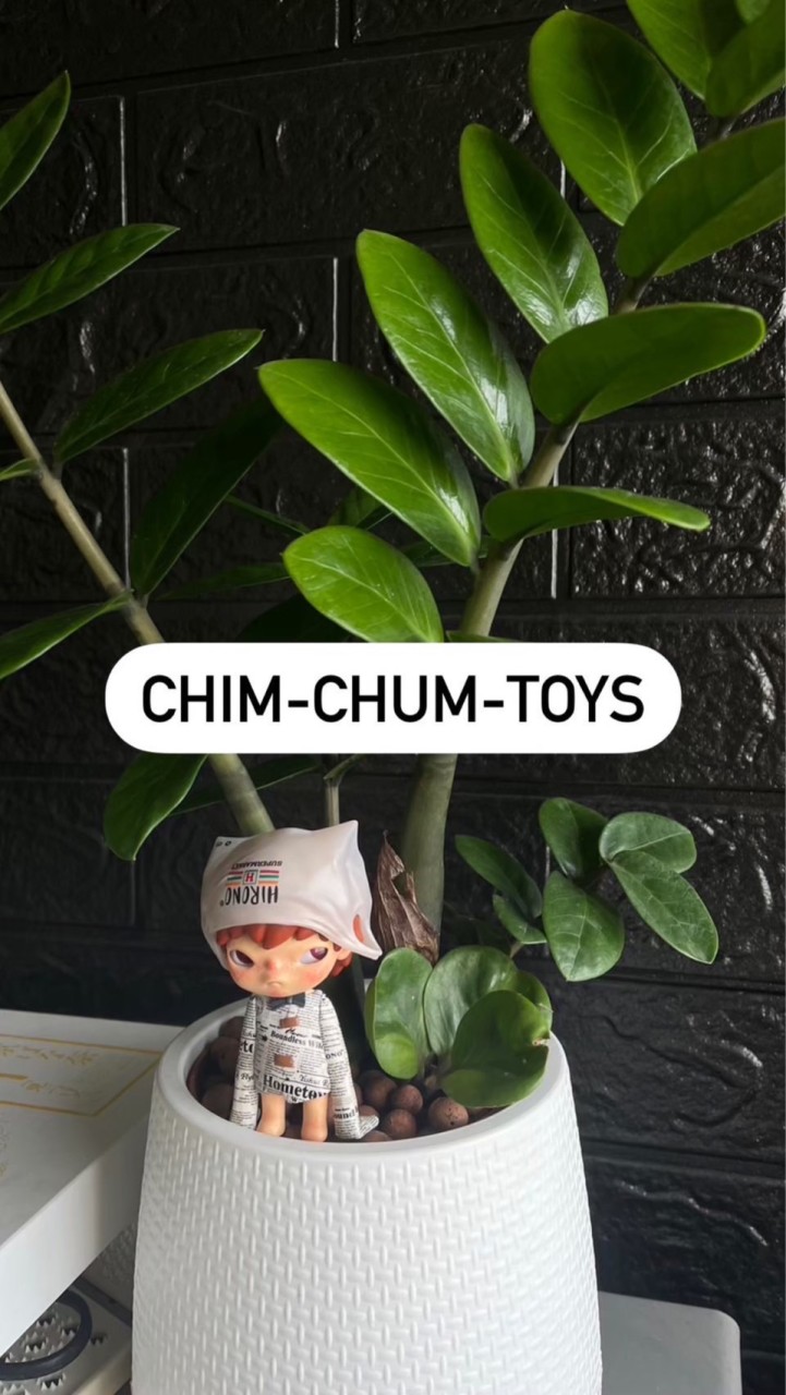 chimchumtoys