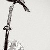 オメガバース世界で各々叶えたいことをする ~ 銀魂也 ~