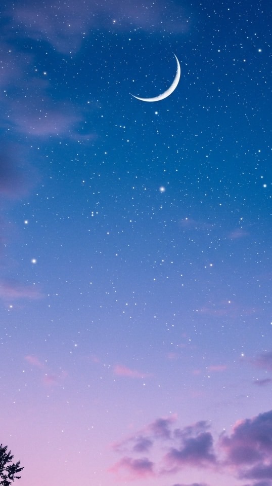 全緩なり！！遊んでけい(折⭕️)