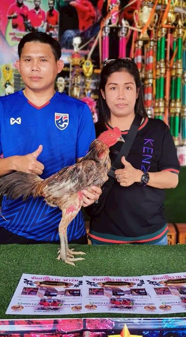 ซุ้ม หลานปู่999 ป่าก๋อยพัฒนา